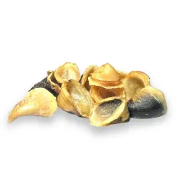 muszelki-wolowe-dla-psa-chipsy-smaczki-chrupiace-10-szt