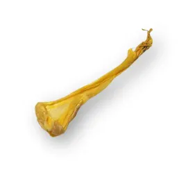skora-z-krolika-dla-psa-za-psi-grosz-ok-50-cm-1szt