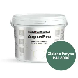 aqua-pro-emalia-akrylowa-szybkoschnaca-9l-zielony-patyna-ral-6000