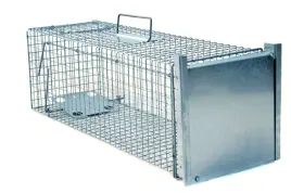 pulapka-zielona-lapka-przeciwko-kotom-kunom-gryzoniom-zwierzynie-lesnej