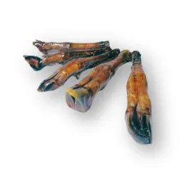 racica-barania-dla-psa-ok-20-cm-za-psi-grosz-1szt-x-5