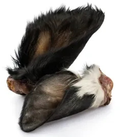 ucho-wolowe-z-futrem-duze-gryzak-dla-psa-balto-1szt