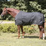 derka-kavalkade-stallion-400g-r-155