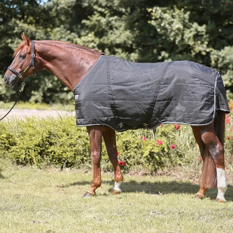 derka-kavalkade-stallion-400g-r-155