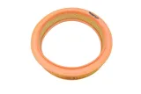 filtron-ar-223-rodzaj-filtra-powietrza-wklad