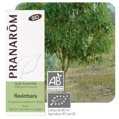 olejek-eteryczny-pranarom-10-ml