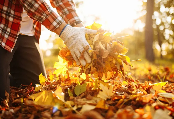 wozek-maltec-100-l-rodzaj-wozek-pojemnosc-100-l