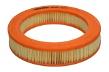 filtron-ar-227-rodzaj-filtra-powietrza-wklad