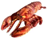 maskotka-homar-dubi-28cm-material-tkanina