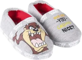 looney-tunes-kapcie-dzieciece-szare-z-haftem-i-postacia-34-35-j1a