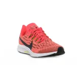 zoom-pegasus-36-gs