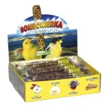 nestor-bombonierka-dla-kanarka