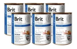 brit-gf-vet-diets-dogandcat-can-recovery-6-x-400g