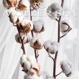 zel-pod-prysznic-cotton-bawelna-regenerujacy-zapach-delikatny-i-swiezy-zapach-bawelna