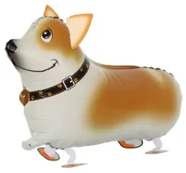 balon-urodzinowy-pies-piesek-welsh-corgi-stojacy-urodziny-56cm