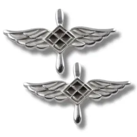 korpusowki-wojsk-lotniczych-personel-naziemny-wp-2-sztuki-komplet