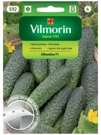 vilmorin-ogorek-alhambra-f1-tasma-5m-wydajna-odmiana-bez-goryczki-do-kwasz