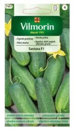 vilmorin-ogorek-santana-f1-3g-odporny-czynny-cylindryczne-owocy-idealne
