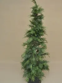 sztuczna-choinka-zielona-tuja-w-doniczce-150-cm-dekoracja-swieta-gumowana