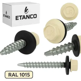 wkrety-farmerskie-do-blachy-48x50mm-ral-1015-100szt-etanco