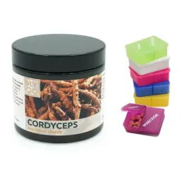 myqo-cordyceps-30percent-odpornosc-witalnosc-zmeczenie-90-kaps-gratis