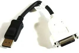 bizlink-display-port-to-dvi-d-video-adapter-23-cm