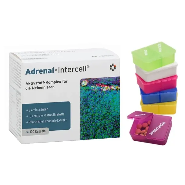 Mitopharma ADRENAL-INTERCELL aminokwasy witaminy z grupy B 120 kaps.+GRATIS