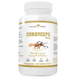 cordyceps-750mg-odpornosc-wiecej-energii-dobry-nastroj-alto-pharma-120-kaps