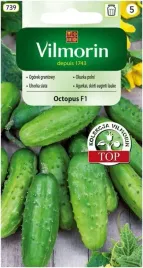 vilmorin-ogorek-octopus-f1-15g-idealny-do-konserwowania-owoce-brodawkowe