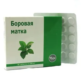 aram-farmgrupp-borowa-matka-500-mg-borowa-gruszynka-jednostronna-50-tabl