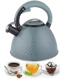 nowoczesny-czajnik-stalowy-z-gwizdkiem-gaz-indukcja-3l-edenberg-8854-niebie