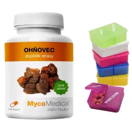 mycomedica-phellinus-linteus-stawy-skora-120-kaps-gratis
