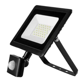 halogen-bialy-zimny-2400-lm-30-w