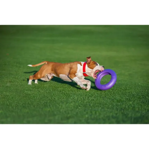 collar-puller-maxi-30cm-ringo-do-cwiczen-dla-psow-marka-puller-waga-580-g