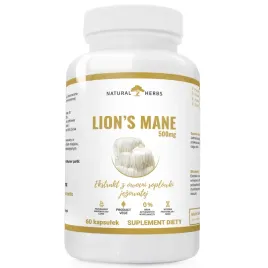 lion-s-mane-ekstrakt-500mg-soplowka-jezowata-alto-pharma-60-wege-kaps