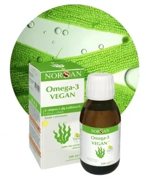 NORSAN OMEGA-3 VEGAN 100% WEGAŃSKI OLEJ Z ALG + WITAMINA D3 100 ml