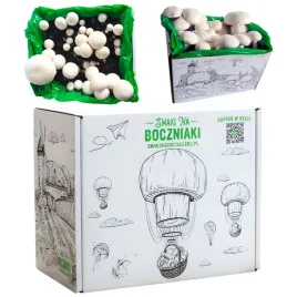 domowa-uprawa-pieczarki-zywa-grzybnia-do-hodowli-pieczarka-biala-zestaw