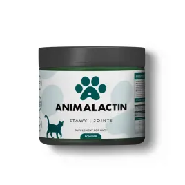 animalactin-stawy-dla-kotow