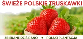 baner-reklama-sprzedaz-truskawek-200x-100-cm-darmowa-personalizacja