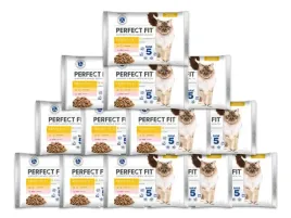 perfect-fit-sensitive-kurczak-losos-w-sosie-13x-4x-85g