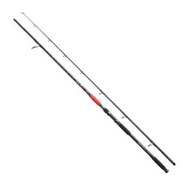 wedka-na-suma-jaxon-catfish-e-heavy-285-cm-500-gr