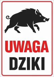 tabliczka-uwaga-dziki-30x42cm-pcv-3mm