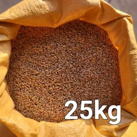 jeczmien-ziarno-25kg-zbior-2025r-material-paszowy-karma-dla-kur-kaczek
