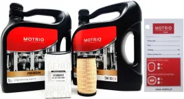 oe-renault-filtr-olej-10l-5w30-master-iii-2-3dci