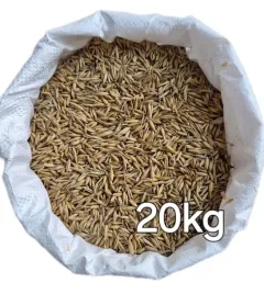 owies-20kg-zbior-2025r-karma-dla-koni-krolikow-gesi-kaczek