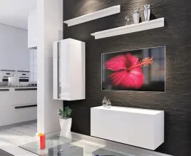 meble-mebloscianka-nowoczesna-polysk-rtv-fmb11