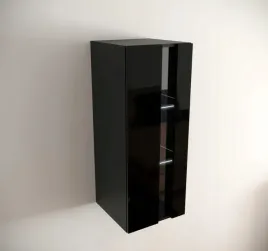 szafka-witryna-regal-do-salonu-czarny-polysk-fe5