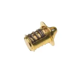termostat-cieczy-wody-am6-50ccm
