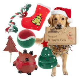 zabawki-dla-psa-zestaw-6-sztuk-maskotka-choinka-przysmak-zabawka-swiateczna