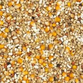 vanrobaeys-nr-418-dieta-oczyszczajaca-casaert-20kg